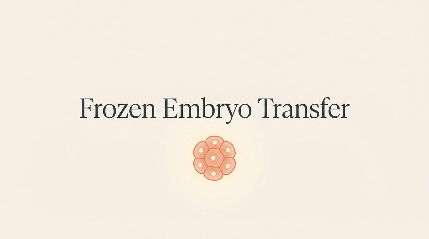 The frozen embryo transfer. — variant B