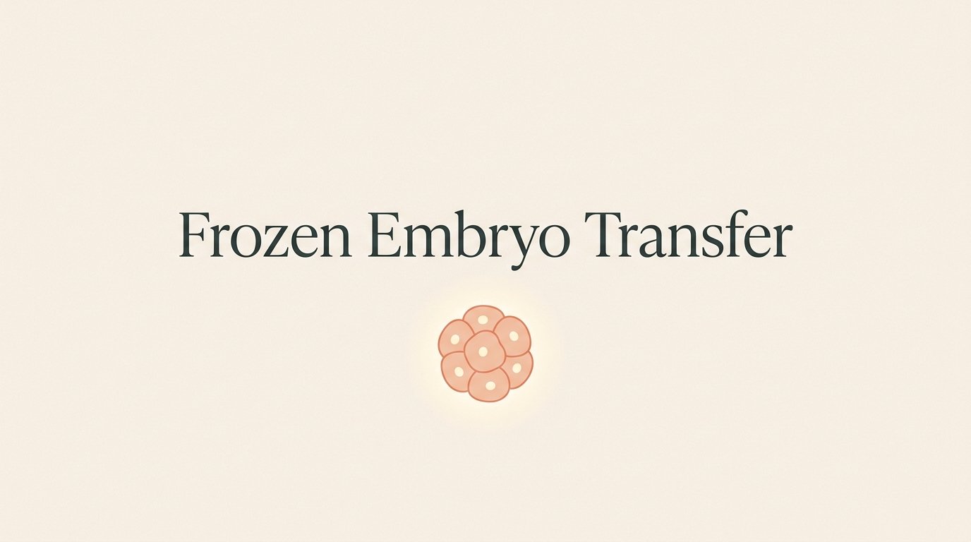 The frozen embryo transfer. — variant C