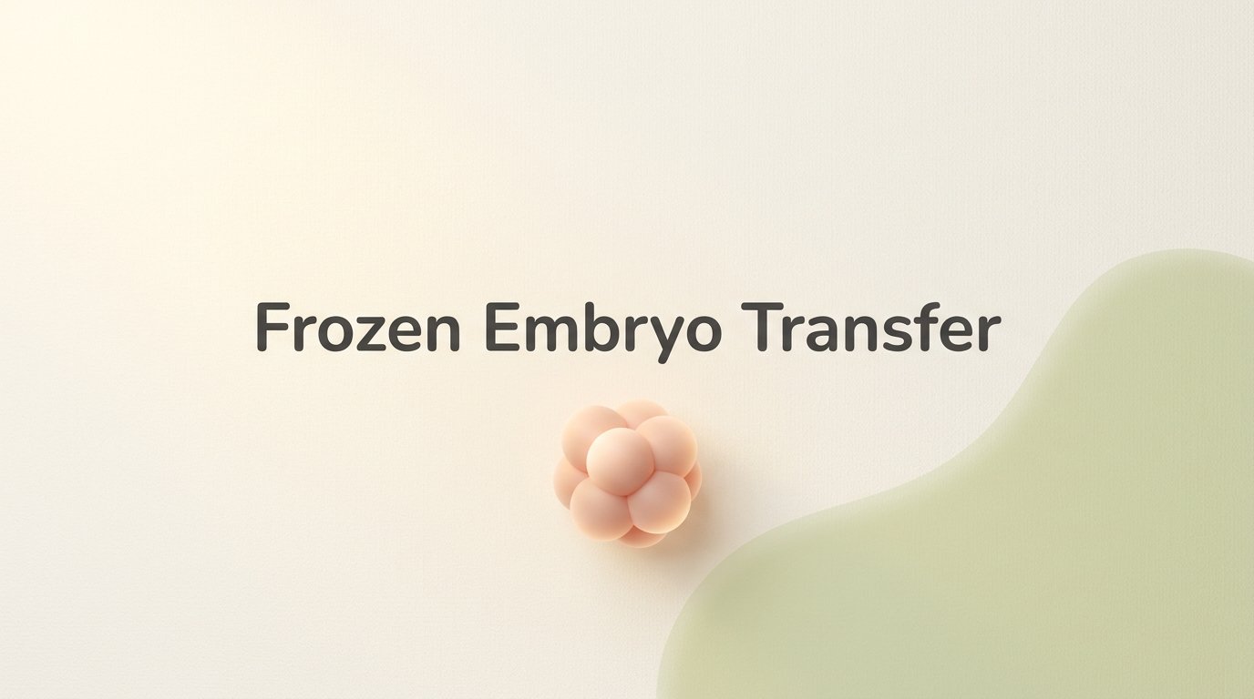 The Frozen Embryo Transfer. — variant B