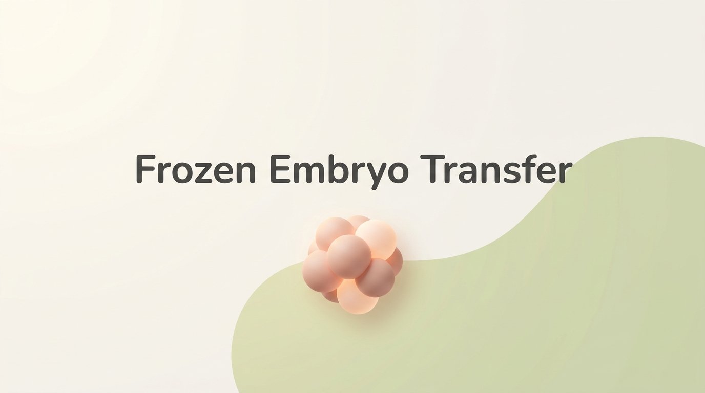 The Frozen Embryo Transfer. — variant C